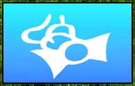 Sulfuric Mod 1.16.5