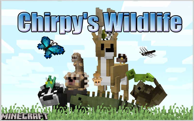 Chirpy's Wildlife