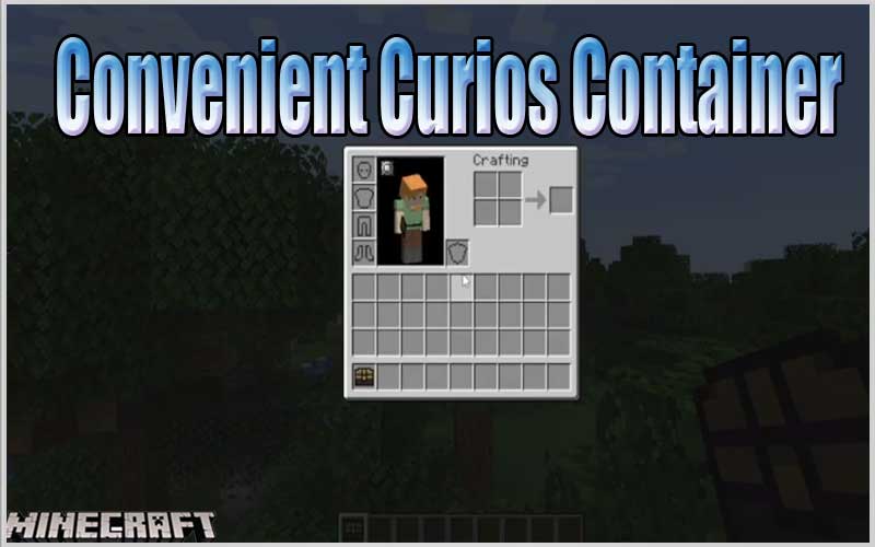 Convenient Curios Container