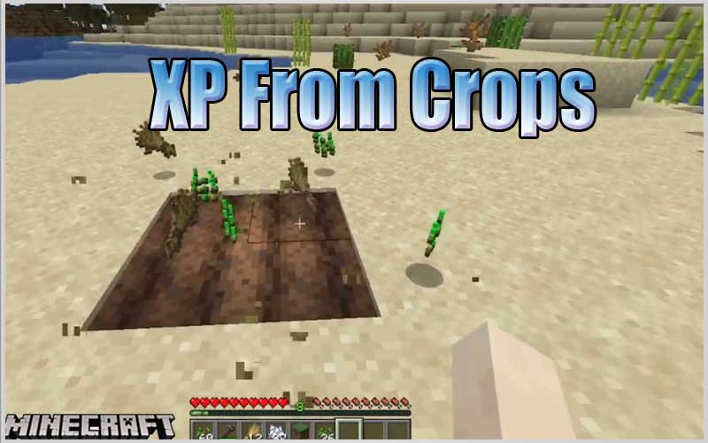 XP From Crops