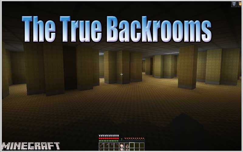 The True Backrooms
